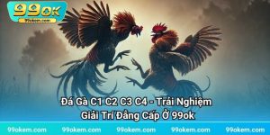 Đá Gà C1 C2 C3 C4 - Trải Nghiệm Giải Trí Đẳng Cấp Ở 99ok