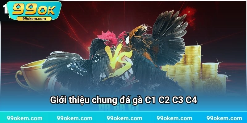 Giới thiệu chung đá gà C1 C2 C3 C4