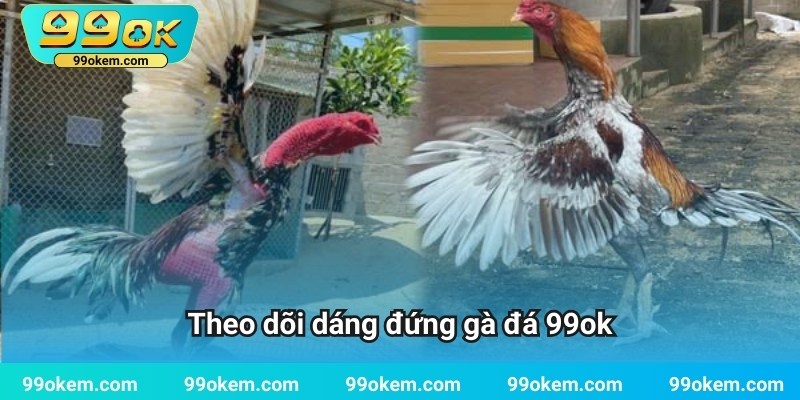 Theo dõi về dáng đứng