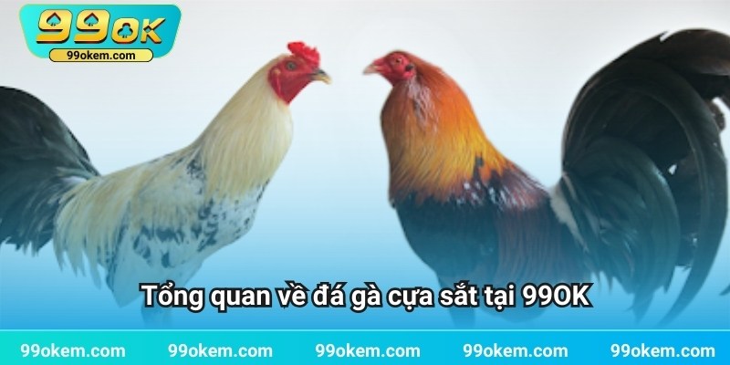 Tổng quan về đá gà cựa sắt tại 99OK