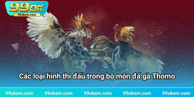 Các loại hình thi đấu trong bộ môn đá gà Thomo