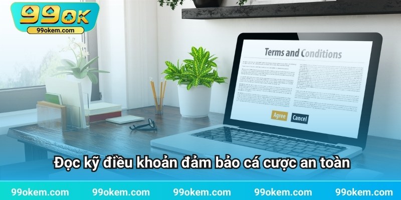 Đọc kỹ điều khoản để đảm bảo trải nghiệm cá cược an toàn