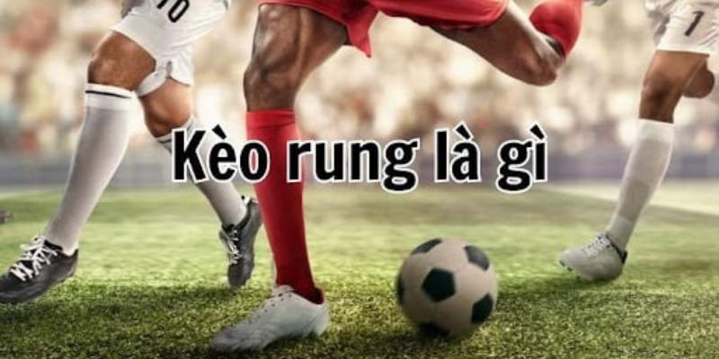 Nên bắt kèo rung đúng lúc để tăng hiệu quả