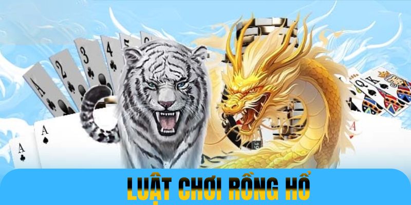 Quy luật chơi Rồng Hổ mà thành viên nên nắm để chiến thắng