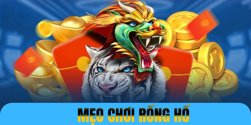 Bỏ túi thủ thuật hữu ích bên cạnh luật chơi Rồng Hổ để dễ dàng kiếm tiền tỷ